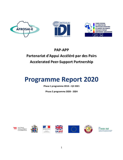 PAP-APP Programme Report 2020